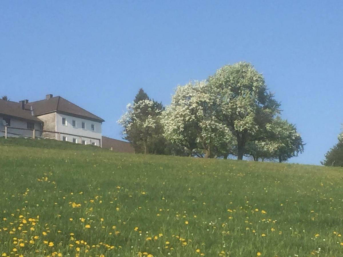 Ferienwohnungen Koessl Waidhofen an der Ybbs Eksteriør bilde
